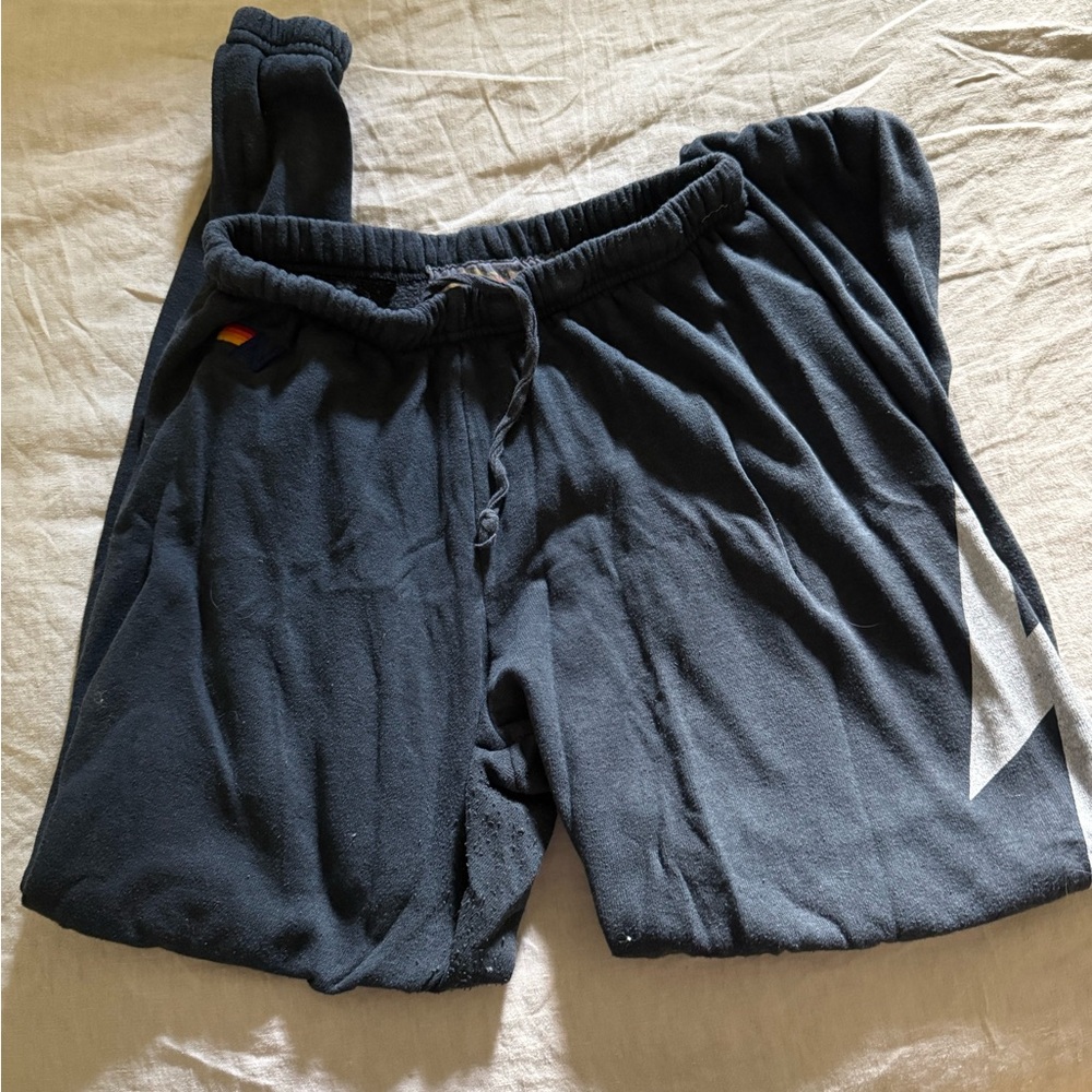 Aviator Nation Charcoal Joggers with Subtle Stripe